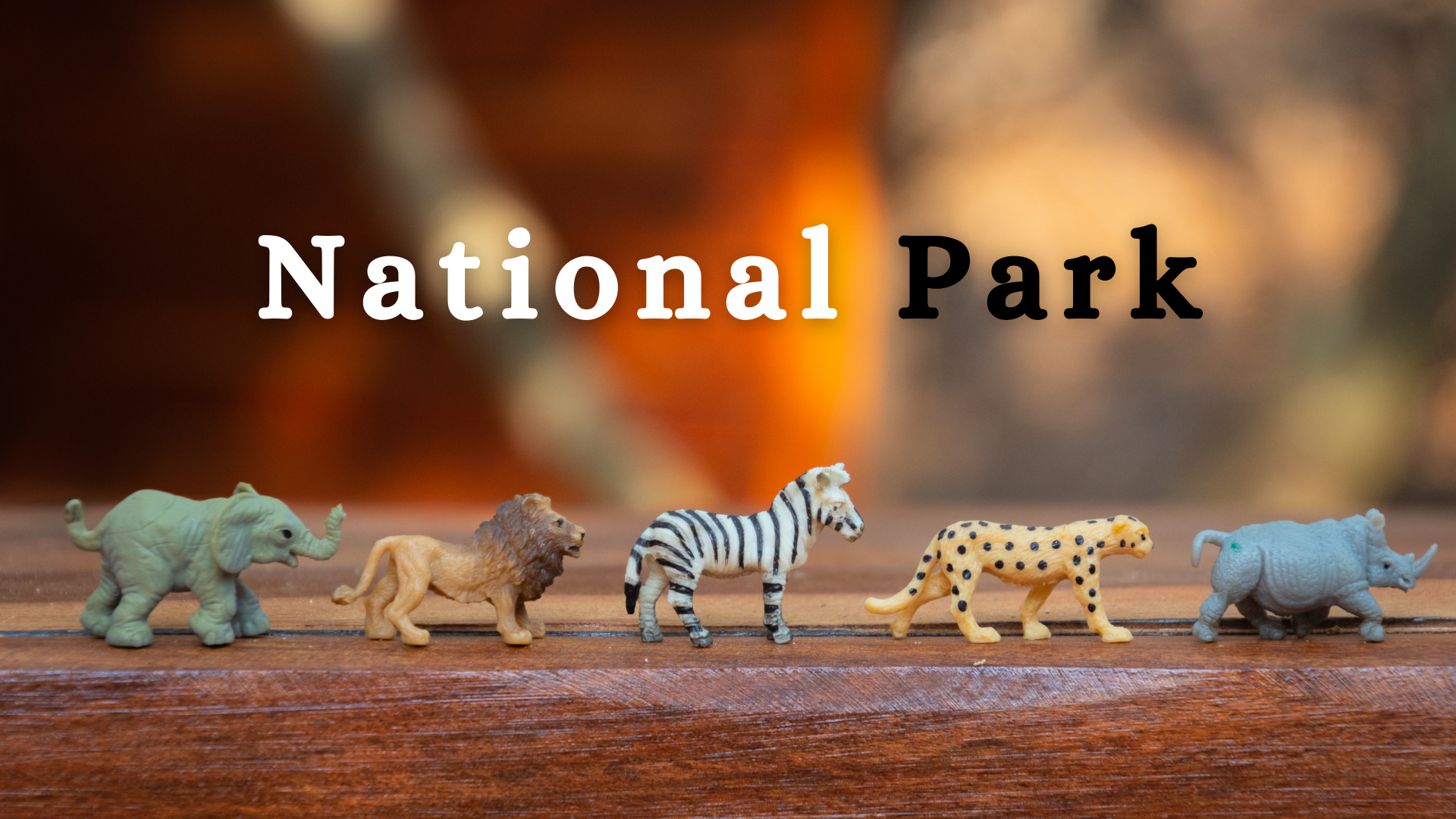 OAV-NATIONAL PARK (PRACTICE SET-1)