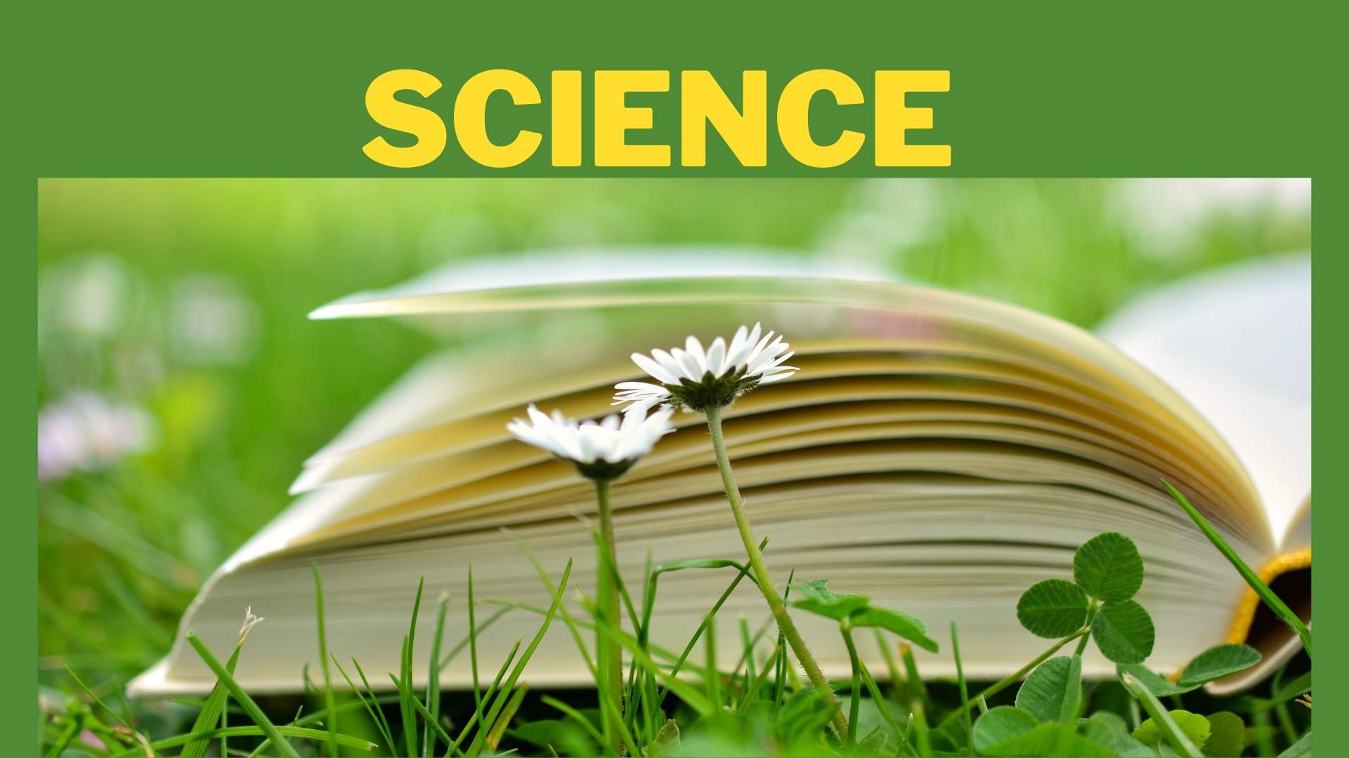 OAV-SCIENCE PREVIOUS PAPER (2017)