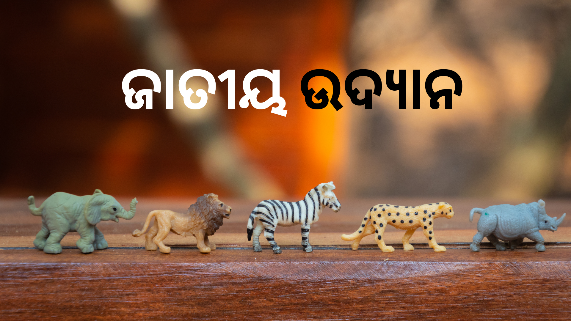 OAV-ଜାତୀୟ ଉଦ୍ୟାନ (ସେଟ୍-3)