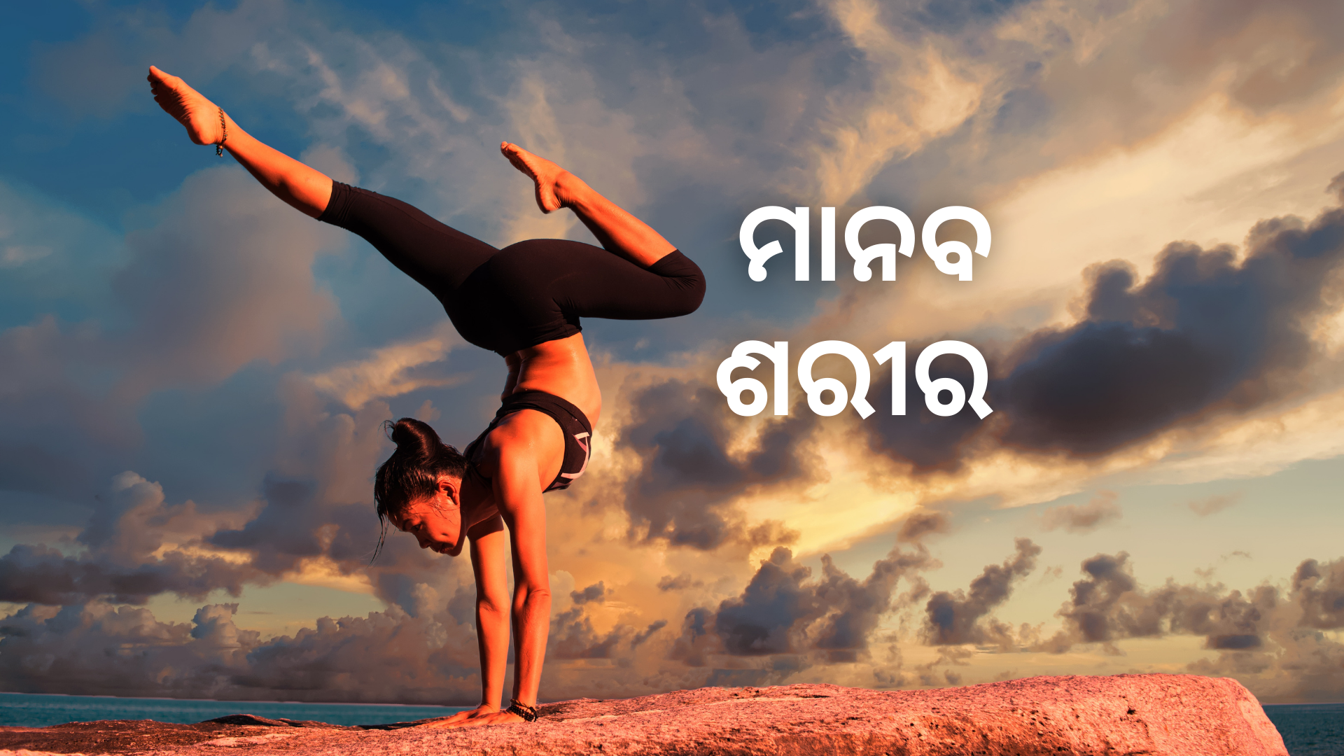 OAV-ମାନବ ଶରୀର (ସେଟ୍-3)