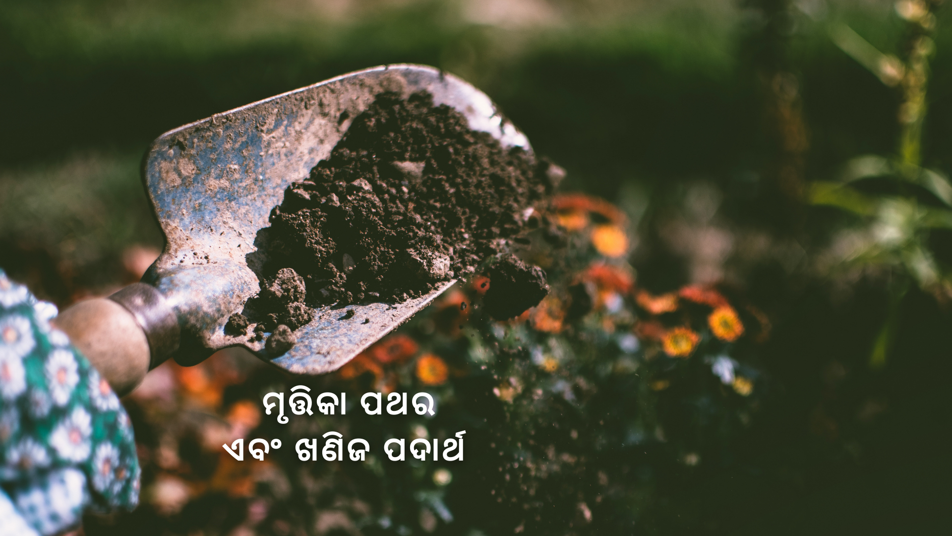 OAV-ମୃତ୍ତିକା ପଥର ଏବଂ ଖଣିଜ ପଦାର୍ଥ (ସେଟ୍-1)