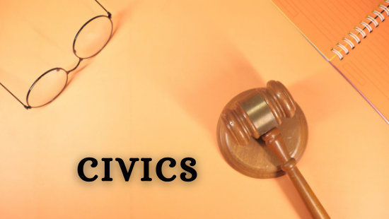 CBSE Class 8 Civics Chapter 5, Judiciary  Exercise questions and answers (NCERT) Notes