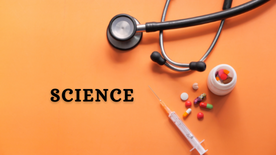 CBSE CLASS 6TH SCIENCE  CHAPTER 1   ﻿FOOD AND WHERE DOES IT COMES FROM  EXERCISE QUESTIONS AND ANSWERS