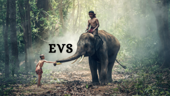 CHAPTER-24 HOME AND ABROAD (SET-2)