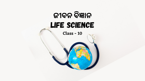 Niyantrana O Samanwaya ( ନିୟନ୍ତ୍ରଣ ଓ ସମନ୍ଵୟ ) Control And Co-ordination Class 10 Life Science (ଜୀବ ବିଜ୍ଞାନ) Chapter-5 - SET - 1