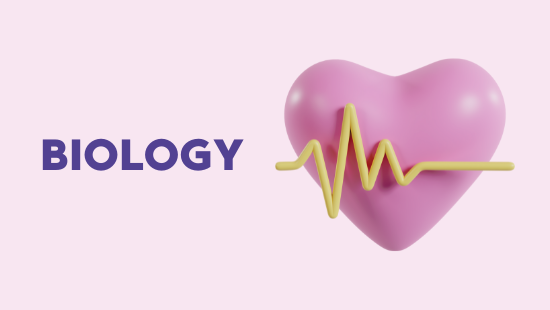 CHAPTER-PHOTOSYNTHESIS (SET-3)