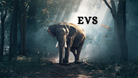 CHAPTER 6 FOODS WE EAT (SET-1)