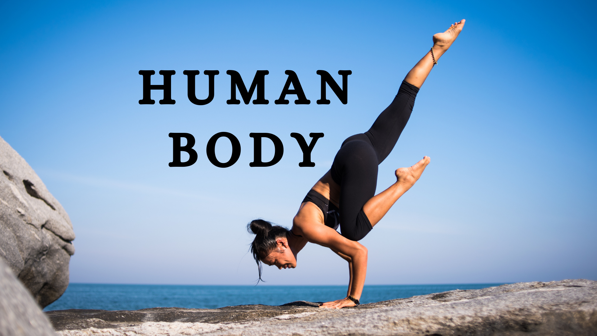 OAV-HUMAN BODY (PRACTICE SET-2) 