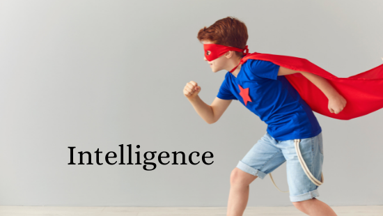 AISSEE-INTELLIGENCE (2019)