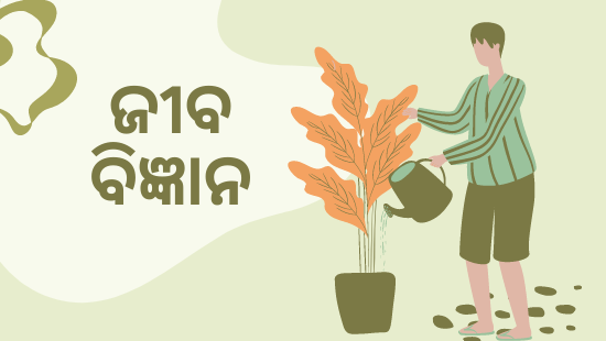 ଅଧ୍ୟାୟ-1 ଜୈବ ବିବିଧତା (ସେଟ୍-1)