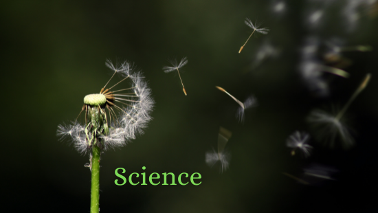 CHAPTER 8 HOW DO ORGANISMS REPRODUCE? (SET-1)