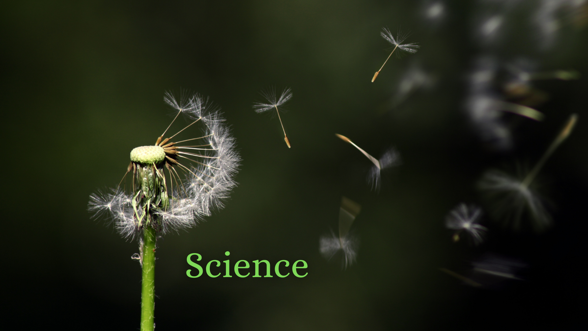 HOW DO ORGANISM REPRODUCE (SET - 3) 
