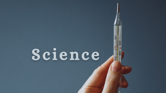 CHAPTER 6 PHYSICAL AND CHEMICAL CHANGES (SET-2)
