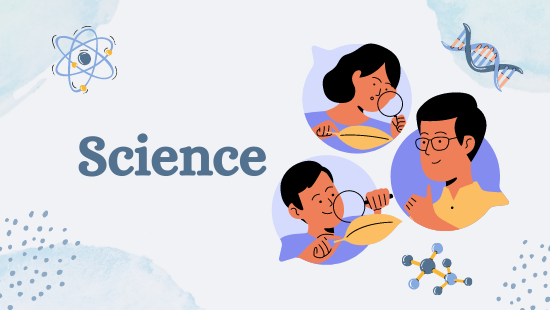 अध्याय-12 ध्वनि (सेट-1)